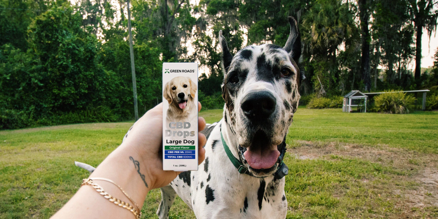 CBD for Pets