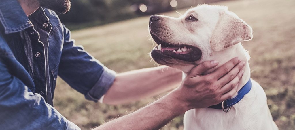 Foto de una persona acariciando a un perro