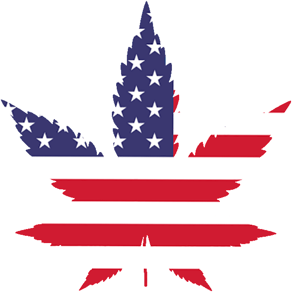 cbd usa