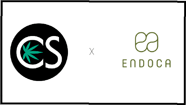 endoca-cbd-review