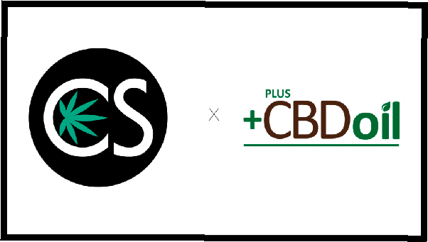 plus-cbd-oil-review